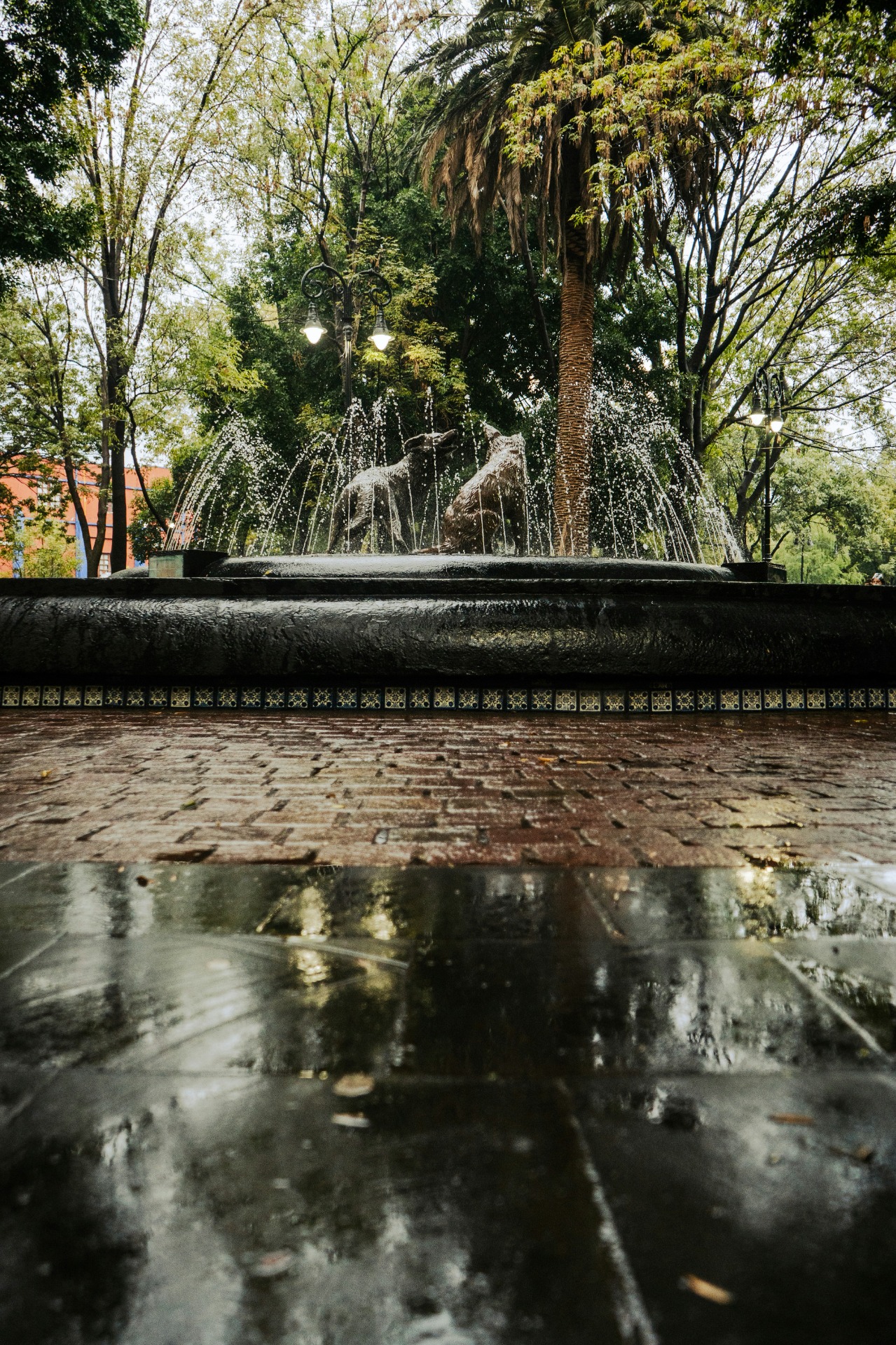 Coyoacan